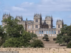 Wayne Manor, o dono do filme do Batman na vida real, atacou o conselho depois de temer que ele pudesse ser recuperado no Bat Survey.