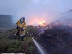 ‘Fraquezas perigosas’ no combate a incêndios florestais colocam o público em risco, conclui o relatório