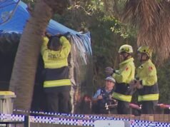 Novos detalhes trágicos surgiram depois que o corpo de um bebê foi encontrado em uma lata de lixo em Sydney