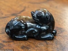 Cão de jade chinês com ‘história mágica’ que remonta a 600 anos foi comprado por £ 1 em uma liquidação de carro… mas agora pode valer até £ 10.000