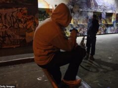 Instalação portuária para pais de jovens anti-sociais, Middlesbrough pede grupo de reflexão em termos de desordem