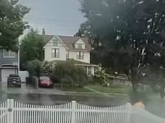 O momento em que um nova-iorquino é atingido por um raio enquanto segura um guarda-chuva durante um raio… mas poderia ter cambaleado em busca de ajuda