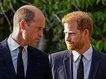 O Príncipe William deveria ignorar o retorno do Príncipe Harry e Meghan Markle? Dê a sua opinião na pesquisa confidencial do Palácio
