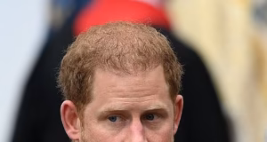 O Príncipe Harry retornou à Grã-Bretanha em parte para “criar sua própria imagem com sua mãe”, afirma Richard K no último segredo do palácio
