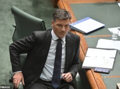 Os preços dos cigarros cairão US$ 30 sob o plano radical da Coalizão – já que Angus Taylor descarta a saída do One Nation