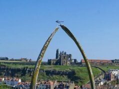 O famoso arco da baleia de Whitby, erguido em 1853, foi desenterrado – para ser substituído por uma réplica ‘ética’ de bronze de £ 70.000