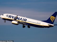 Passageira da Ryanair, 22 anos, ‘agredida sexualmente por um homem sentado ao lado dela após o embarque’