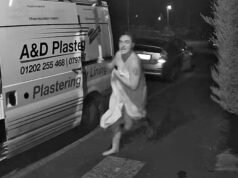 Câmera de segurança captura momento em que mulher persegue ladrão com taco de beisebol enquanto roubava equipamento de van