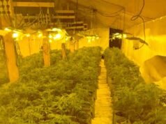 Moment makers perseguem suspeito de cannabis com drone depois de encontrar uma fábrica secreta de drogas de £ 1 milhão escondida em uma antiga fazenda de galinhas