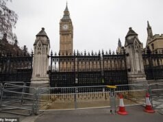 O primeiro oficial no local do ataque terrorista na Ponte de Westminster foi impedido de policiar depois de ter pedido Viagra a um colega mais jovem e ter mentido sobre a hora.