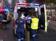 Caos na hora de pico com quatro pessoas hospitalizadas após a queda da balsa Circular Quay em Sydney