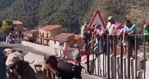 Uma mulher morreu depois de passar por uma barreira de segurança durante um festival de corrida de touros em uma cidade espanhola