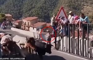 Uma mulher morreu depois de passar por uma barreira de segurança durante um festival de corrida de touros em uma cidade espanhola