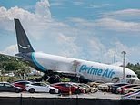 Viúva devastada de motorista de van em Miami morto em acidente fatal de avião na Amazon processa dois pilotos