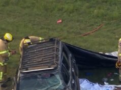 Uma criança morreu e seis ficaram feridas em um terrível acidente de viação em Victoria