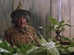 Miriam Margolis desperta nova fúria ao classificar seu salário de £ 60.000 em Harry Potter como ‘lixo’ – dias após a disputa de racismo de Andy Peters
