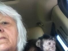 Mãe adotiva acusada de trocar filho por macaco evita pena de prisão