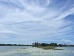 Criança hospitalizada após ser mordida por crocodilo de 3,6 metros enquanto nadava em lago na Flórida