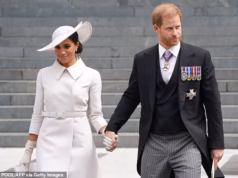 O Príncipe Harry e Meghan Markle prefeririam ser ‘figuras públicas’ e não cidadãos privados, revelam fontes em meio a afirmações extraordinárias