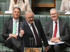 O governo albanês descarta o projeto de lei One Nation para impedir o retorno de combatentes terroristas à Austrália – enquanto Pauline Hanson revida