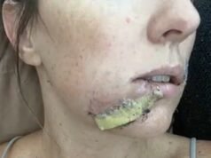 Mãe do Arizona atacou a filha de quatro anos por um coiote enquanto lutava bravamente contra um animal