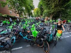 Por que estamos todos atormentados por pragas nas calçadas de bicicletas com cal: os passageiros evitam multas por violar as regras de estacionamento