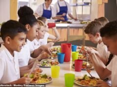 Alimentos fritos proibidos na merenda escolar e pudins duas vezes por semana na nova batalha contra a obesidade infantil