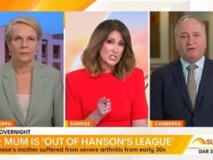 Barnaby apoia Pauline Hanson sobre comentários sobre habitação pública sobre a mãe de Joyce Albanese