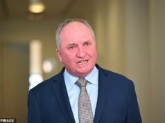 Onde está Pauline Hanson? O líder de uma nação acusado de ir à prisão porque seus comentários sobre a mãe de Anthony Albanese saíram pela culatra