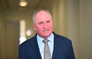Onde está Pauline Hanson? O líder de uma nação acusado de ir à prisão porque seus comentários sobre a mãe de Anthony Albanese saíram pela culatra