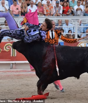 111235101-16136059-Video_captured_the_black_bull_ramming_Mr_Roca_Rey_from_behind_be-a-2_178964245182.avif