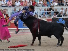 Momento de ‘Messi do matador’ jogado entre chifres de touro enquanto se agarrava pela vida – meses depois de sofrer uma surra horrível na Espanha