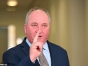 Barnaby Joyce ataca os críticos do plano de migração ‘net zero’ da One Nation enquanto especialistas alertam sobre as consequências econômicas