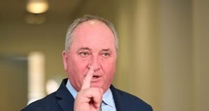 Barnaby Joyce ataca os críticos do plano de migração ‘net zero’ da One Nation enquanto especialistas alertam sobre as consequências econômicas
