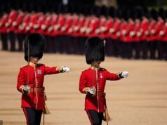 Os parlamentares pedem que os icônicos bonés de pele de urso dos guardas do Palácio de Buckingham sejam substituídos por peles falsas para “atender aos padrões éticos atuais”