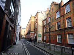 O homem, de 22 anos, é acusado de estupro e estrangulamento em Covent Garden