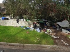 A casa de um colecionador em Sydney foi vendida por US$ 1,81 milhão.
