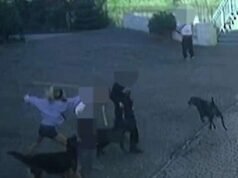 Momentos antes de a mulher dar um soco no rosto de seu colega passeador de cães e cuspir nele