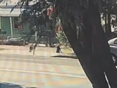 A mãe de um menino de 3 anos que foi morto por um carro enquanto brincava fora de casa se manifesta