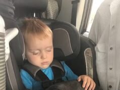 Amado cachorro que desapareceu com a governanta se reencontrou com a família mais de quatro anos depois