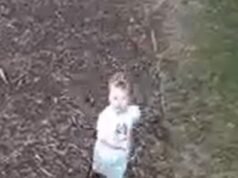 Pai de coração partido do trágico Noah Woods presta homenagem ao ‘menino mais doce e inocente’ depois que a polícia encontra o corpo no lago