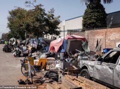 Uma doença horrível atinge o acampamento de moradores de rua de Berkeley quando vagabundos decidem criar RATOS e acordam ativistas que estão processando para tirar a cidade do sono