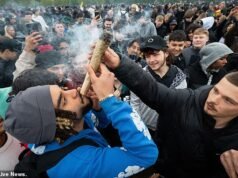 Ainda é ilegal, mas a polícia não se importa por que o país inteiro cheira a maconha: Peter Hitchens