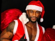 O Papai Noel sexy e seu amante dançarino bonitão falam sobre seu relacionamento para formar uma tropa… apenas para que um romance a três termine em assassinato e confusão.