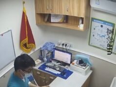 Você não pode me pegar! O momento em que gatos travessos causam estragos em veterinários