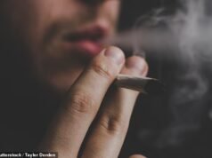 Grande mudança na lei de trânsito de cannabis: estado australiano se move para dar luz verde aos usuários de drogas
