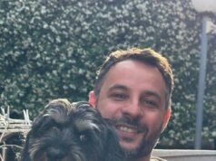 O apelo desesperado do dono do Cavoodle após ataque de cachorro em parque popular deixa conta do veterinário de US$ 3 mil