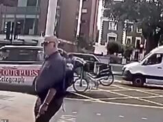 Revelado: O usuário da bicicleta Lime que quebrou o vidro traseiro do táxi com a cabeça é um jogador de críquete profissional que jogou o jogo de sua vida