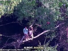 Homens da Flórida agarram-se a árvores em águas infestadas de crocodilos depois que seu barco virou