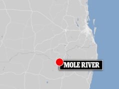 Crânio de mãe encontrado quando filho foi preso em suposto caso de violência doméstica após noite horrível de violência contra mulheres